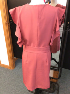 Size 14 Alexia Admor Dress