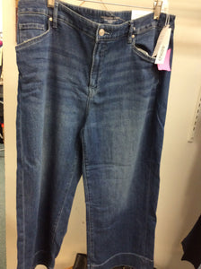 Size 2.5 Chico's Jeans