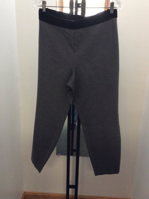 Size 20WP talbots Pants