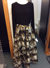 Load image into Gallery viewer, Size 16 Adrianna Papell Gown/Evening Wear