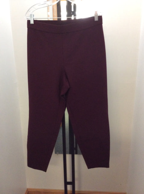 Size 20WP talbots Pants