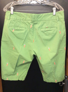 Size 10 j crew Pants